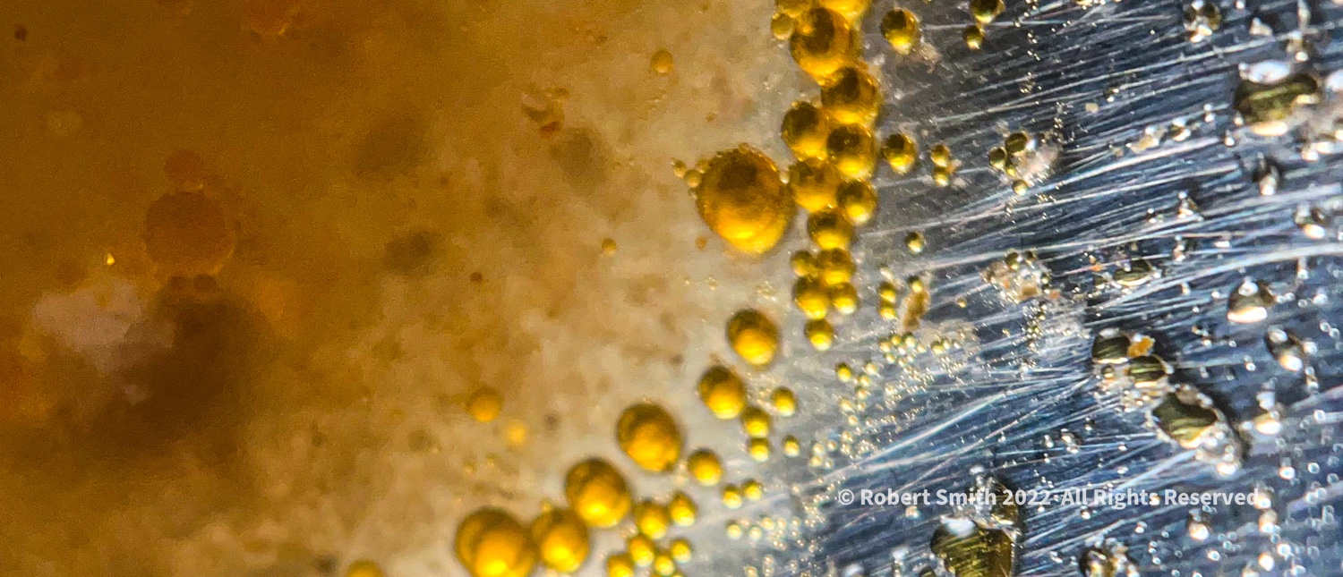The Moment Macro: Vegetable Beef Soup Broth on Spoon #1