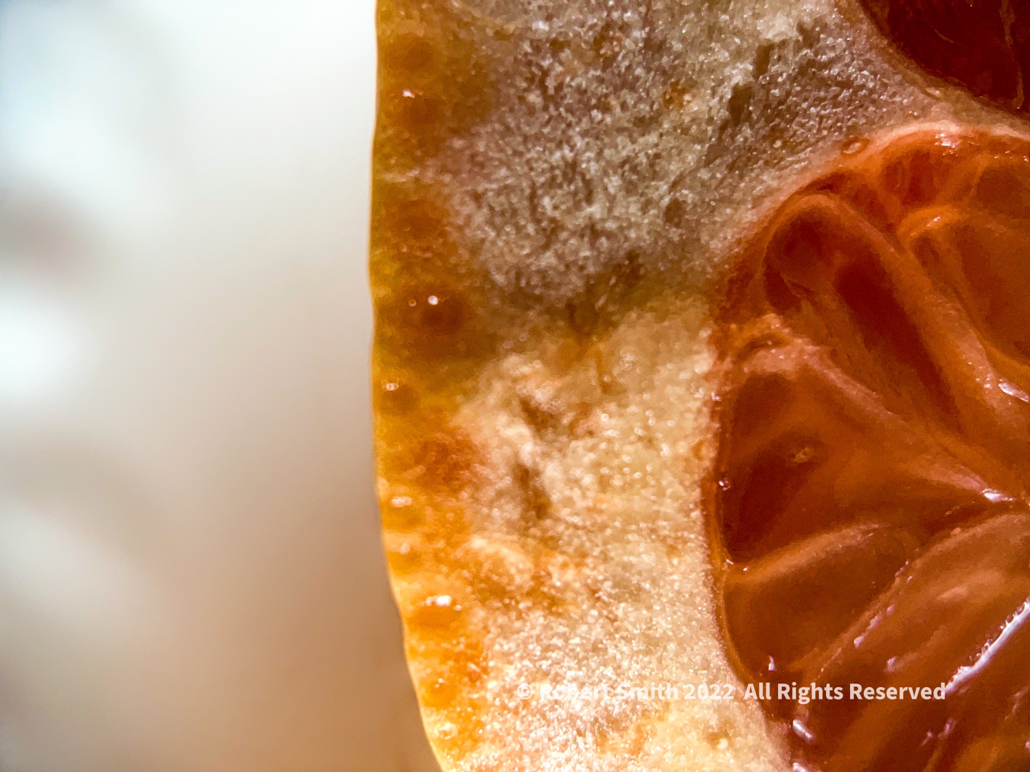 The Macro Moment: Fruitful Mornings #12, Red Grapefruit