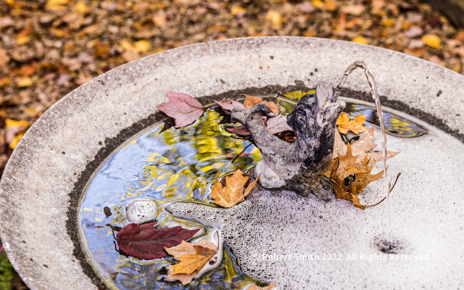Wordless Wednesday: Wedding Day Courtyard Fountain