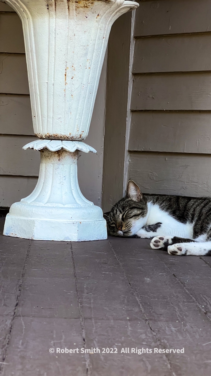 Hello Kitty: Porch Kitty