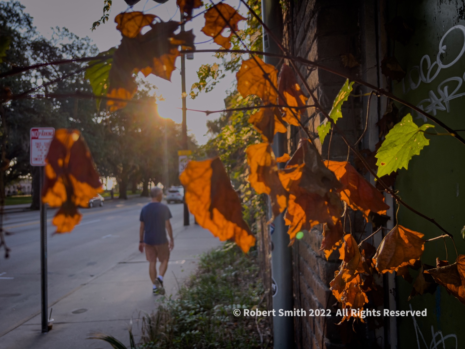 Sunday Snap Sep 18, 2022: Walking into Fall