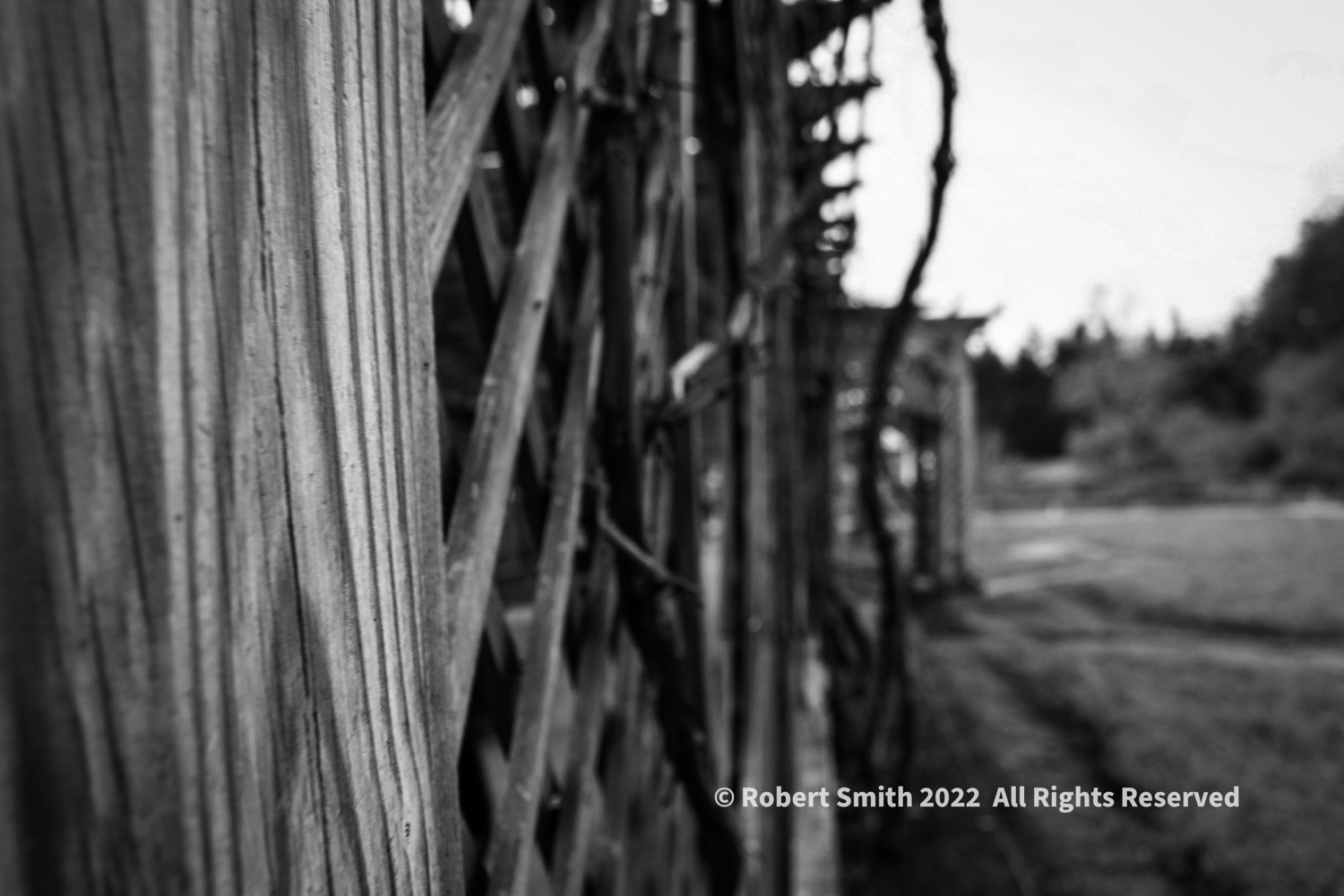 In the Fence
