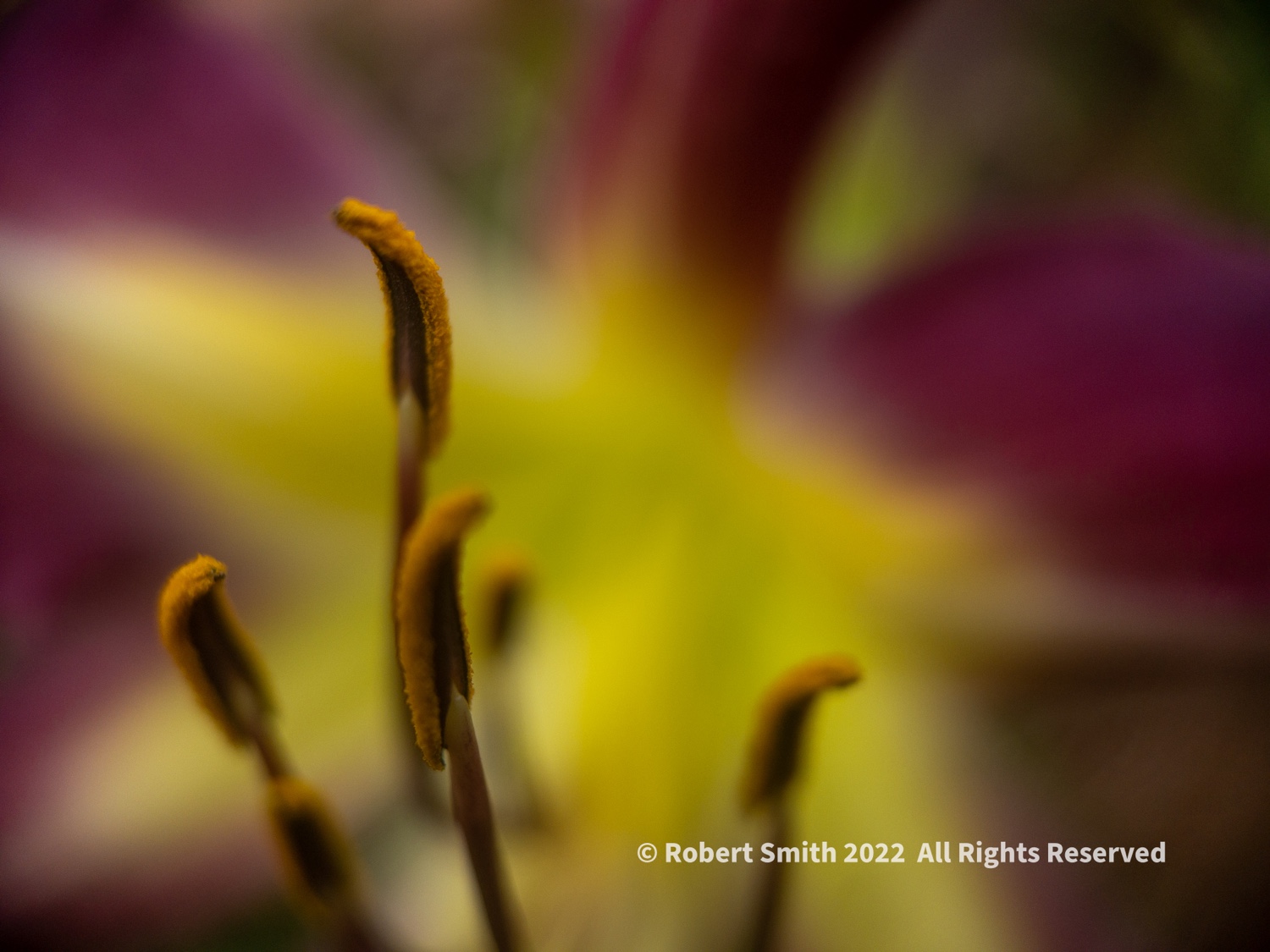 Sunday Stills: Moment Macro in a Private Garden