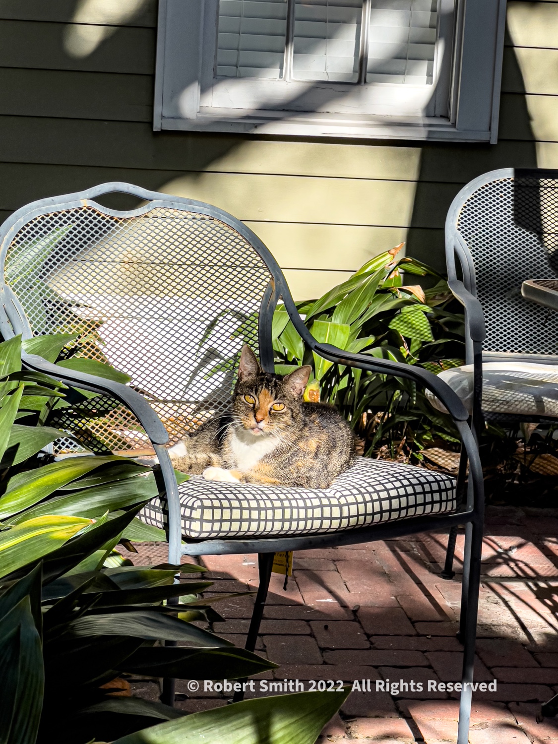 Hello Kitty: Courtyard Kitty