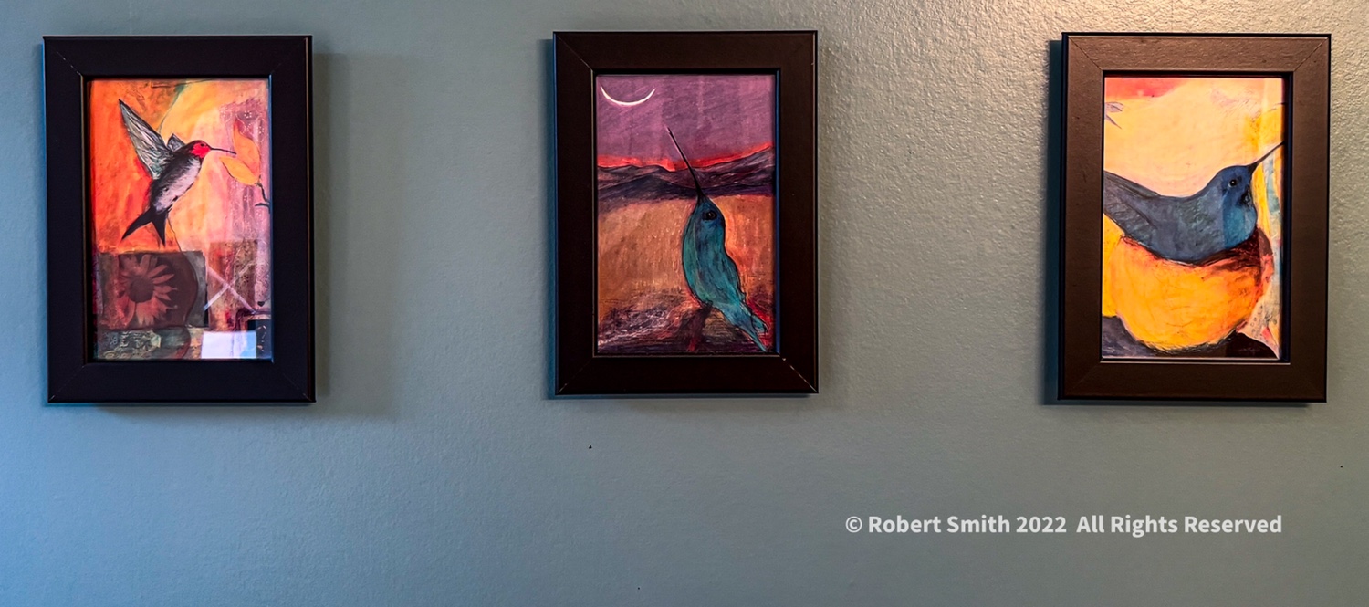 Birds in a Bathroom