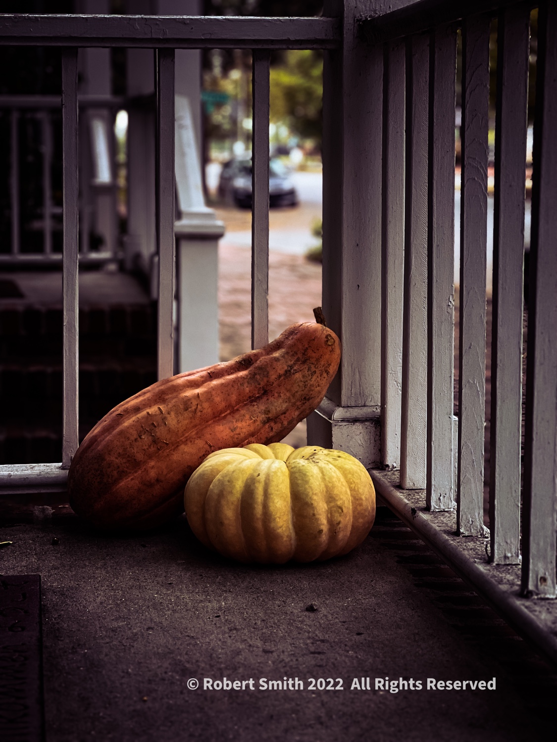 Make Room for Gorgeous Gourds and Pumpkins
