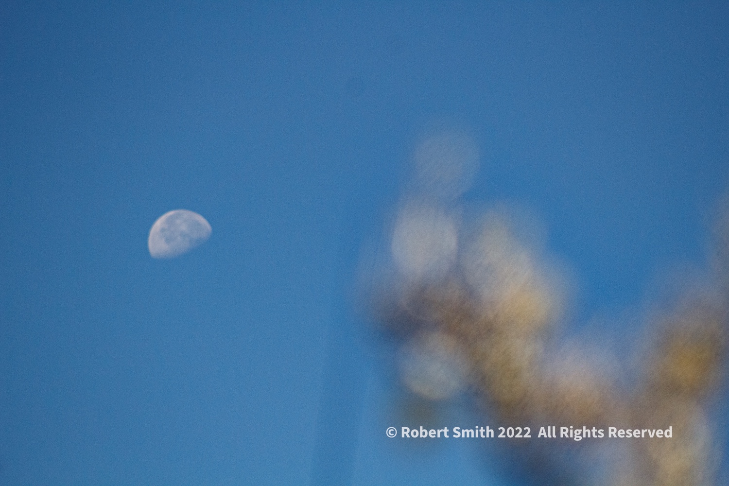 The World Needs the Moon and the Sun
