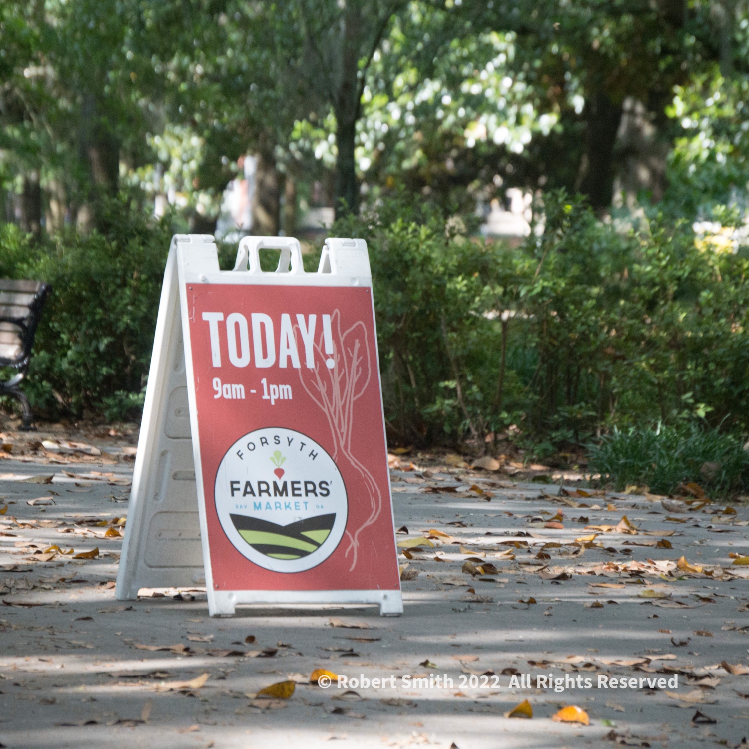 A Walk to the Farmers Market