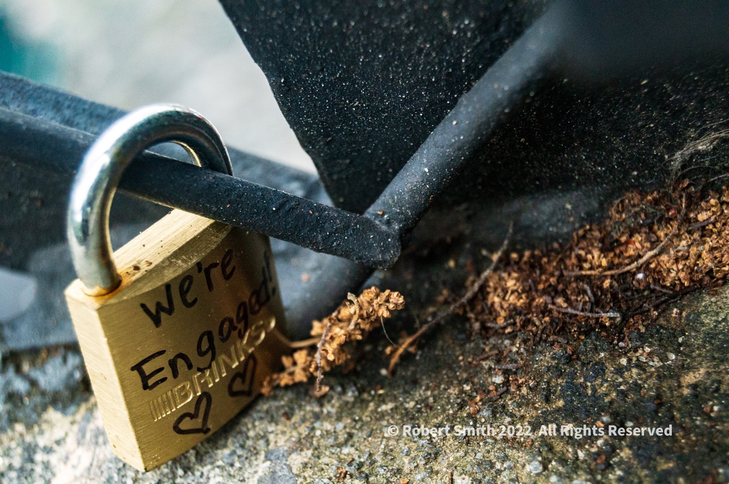 Locked in Love