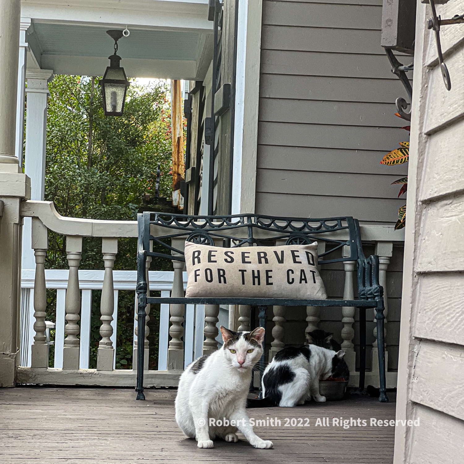 Hello Kitty: Meeting the Locals