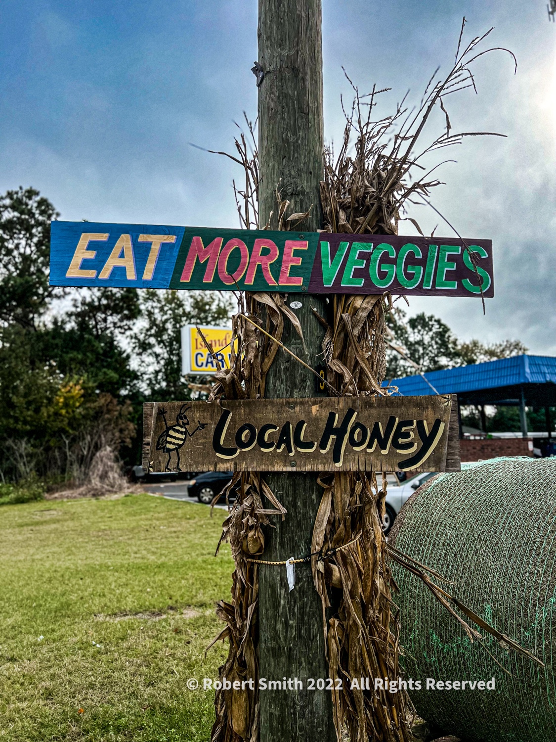 The Sign Post Up Ahead: Eat More Veggies!