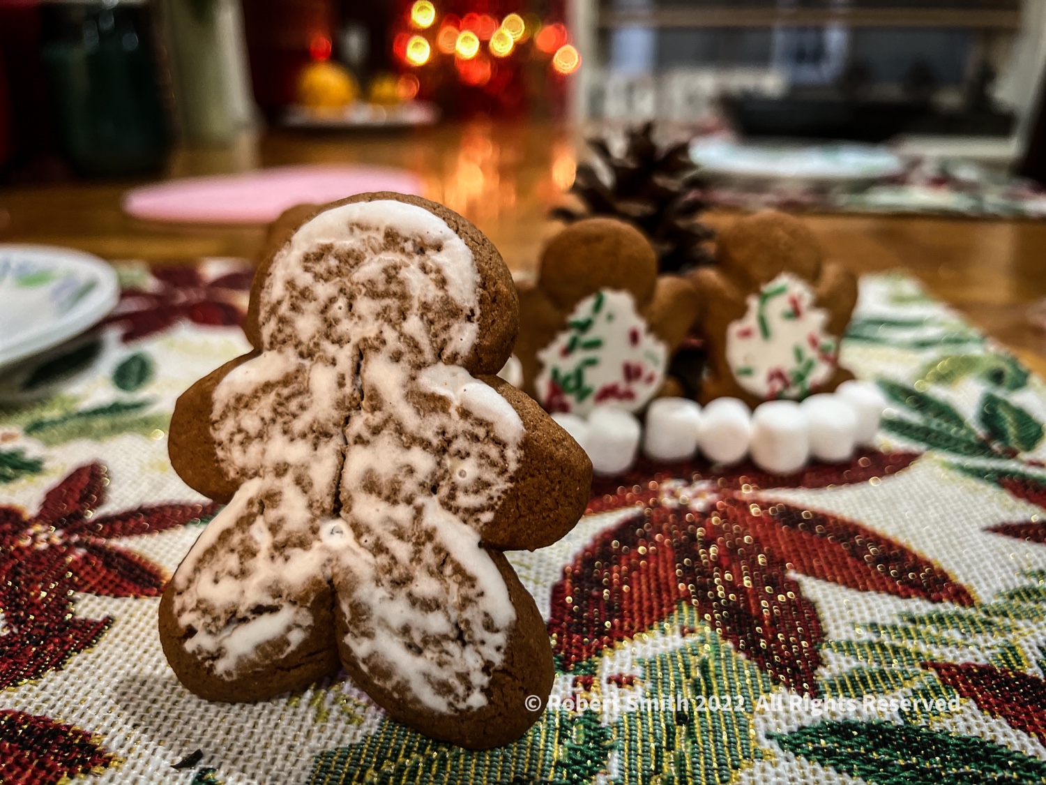 The Taste of the Season, Christmas Photo Challenge #18
