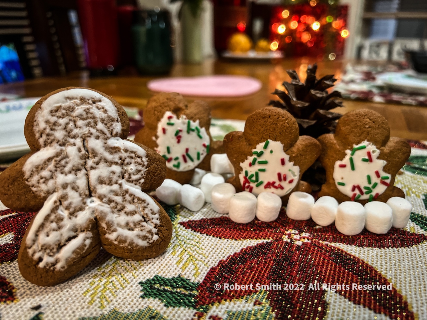 Sweet Gingerbread Man