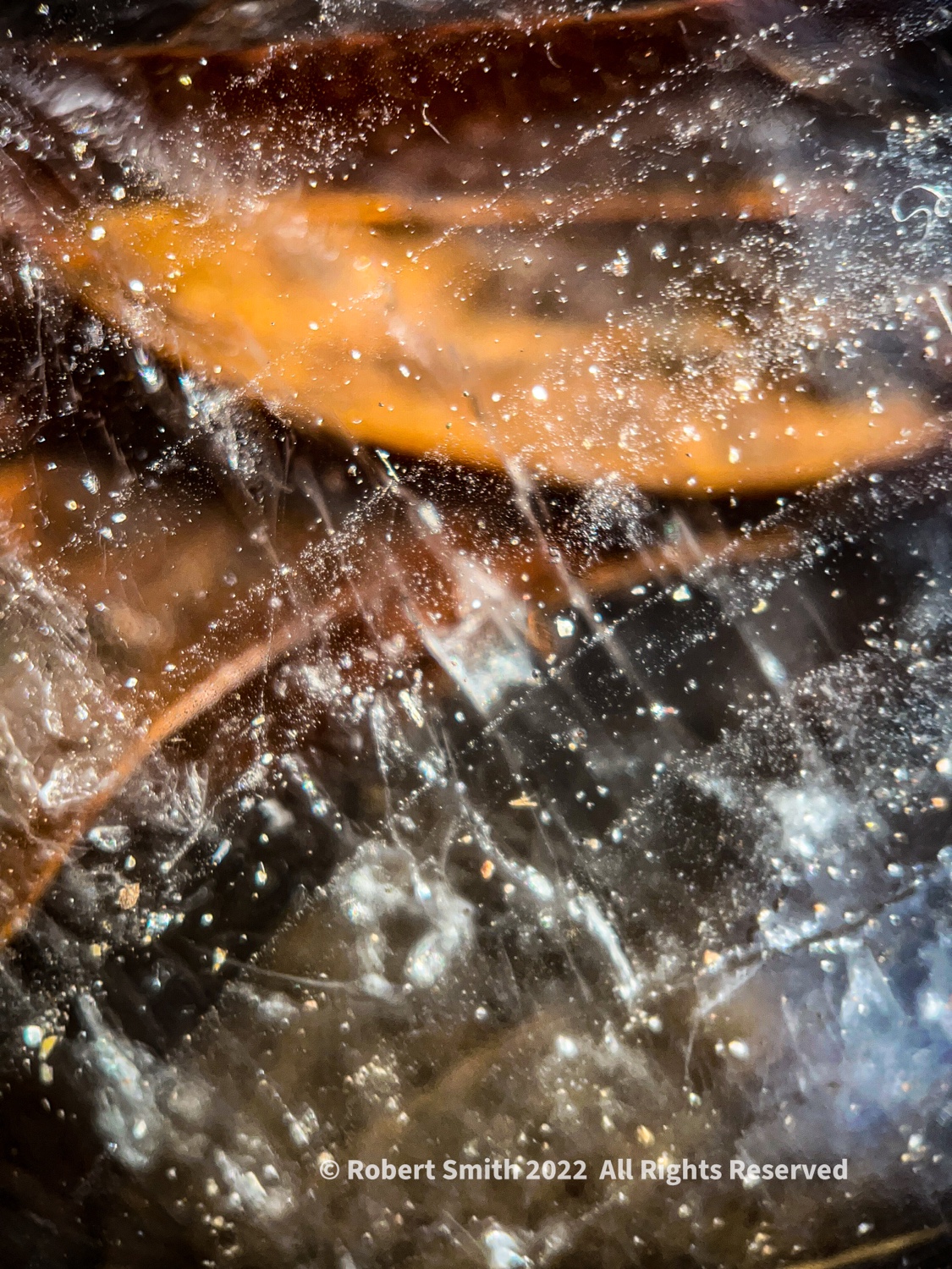 The Moment Macro: Under the Ice