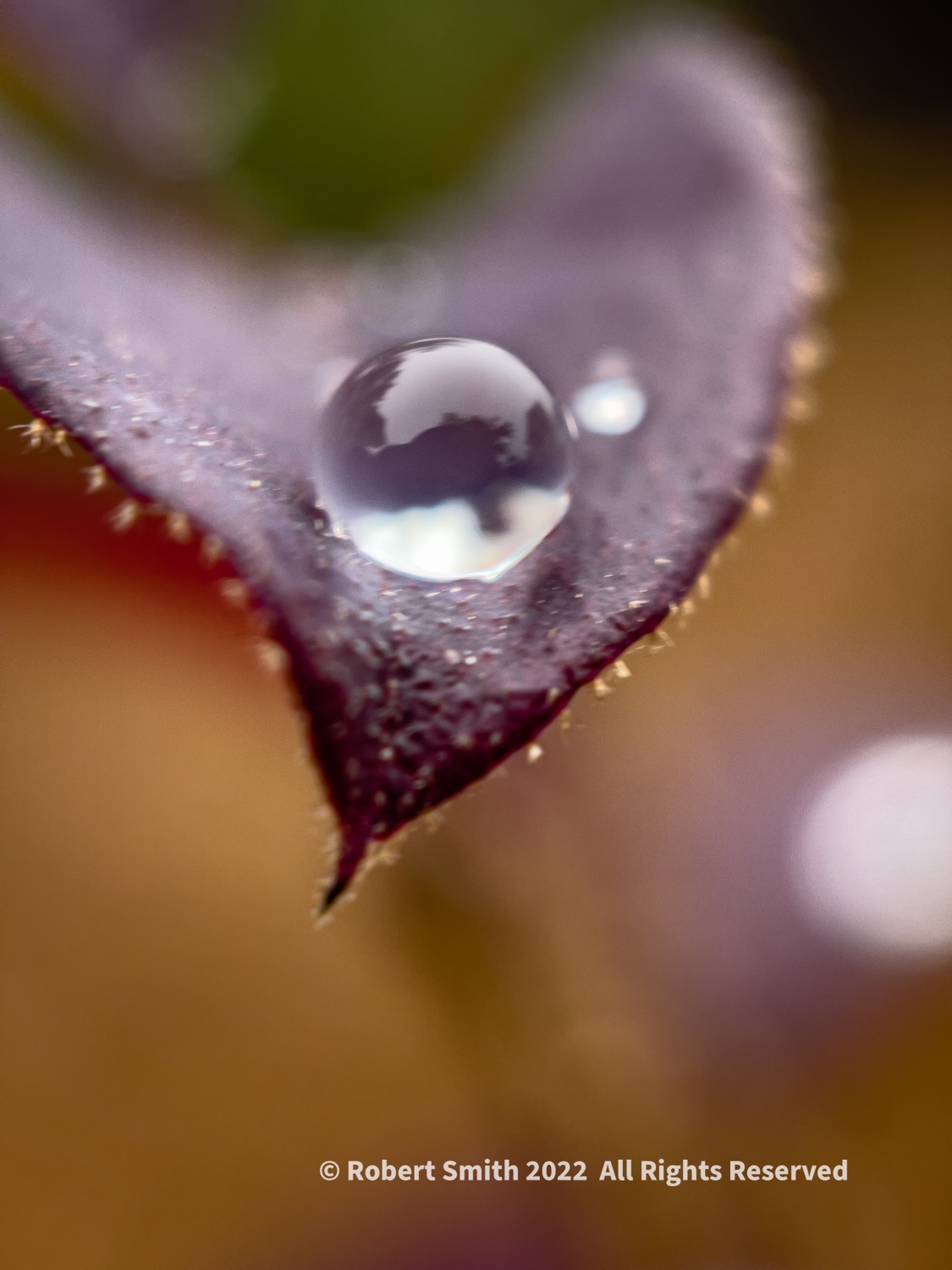 The Moment Macro: From One Raindrop 2