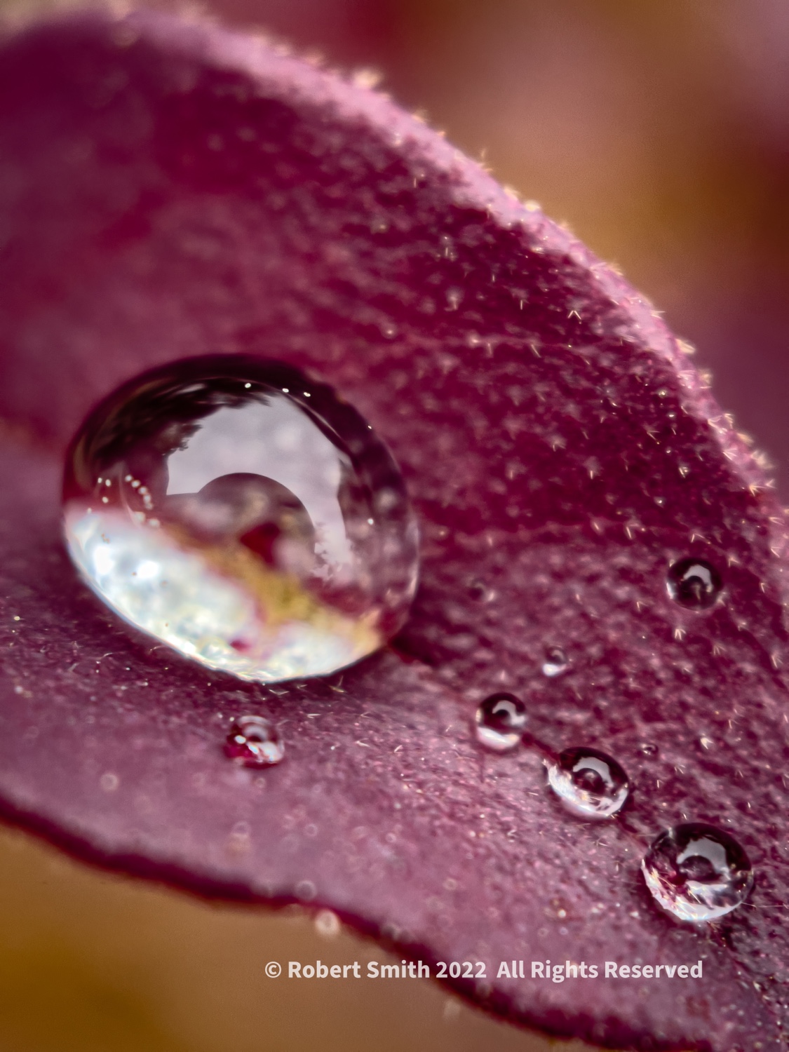 The Moment Macro: From One Raindrop 1