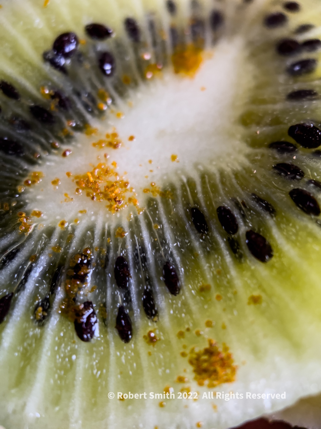 The Moment Macro: Kiwi and Cayenne