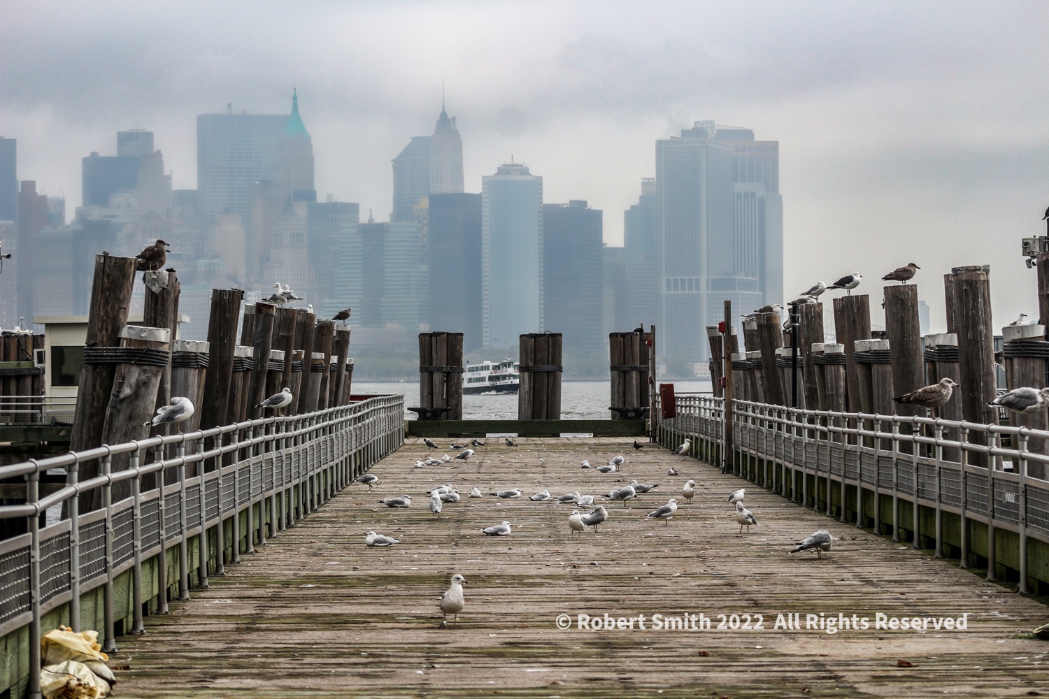 Seagulls and Skylines