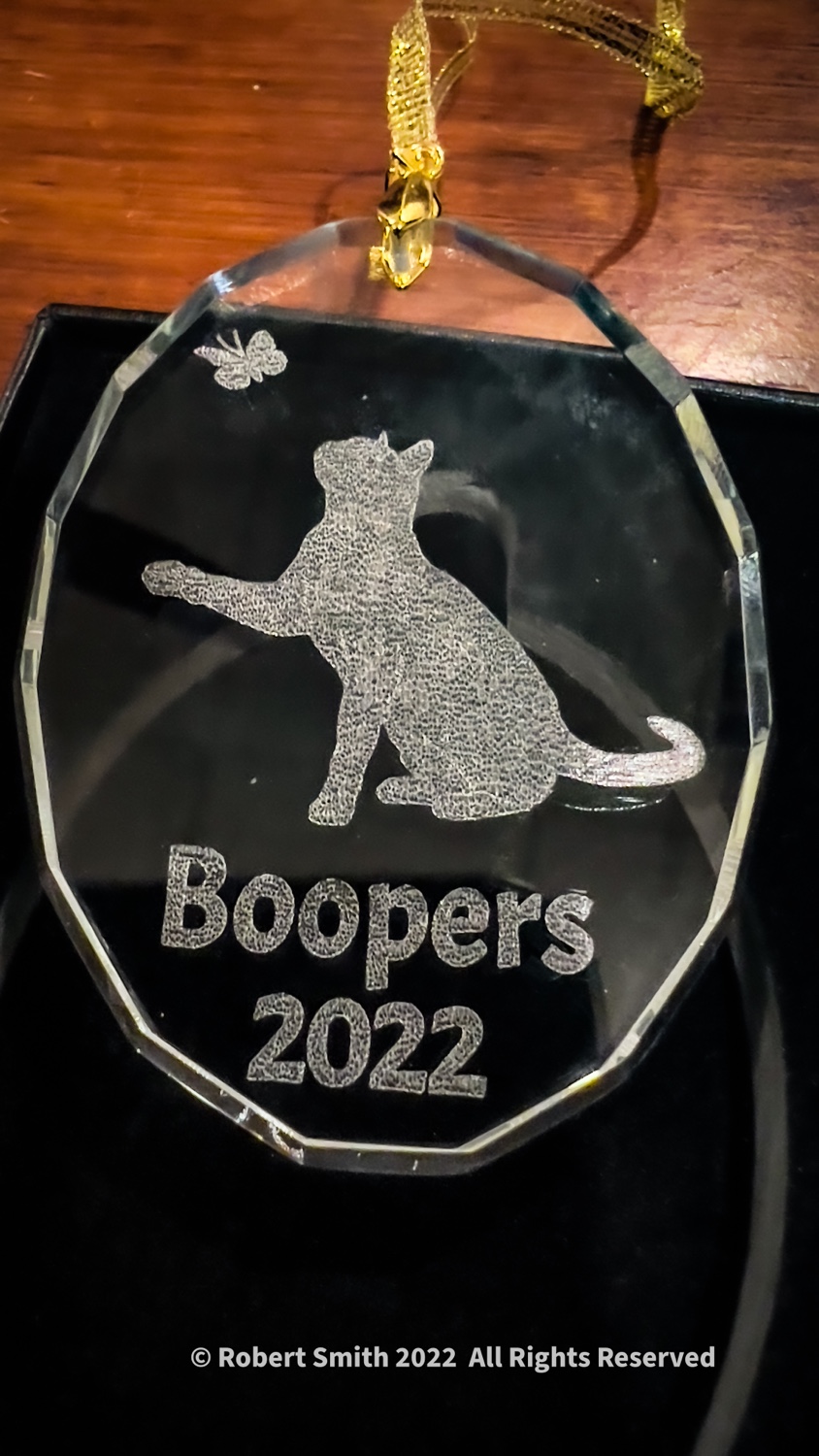 Tails of the Kitty: Ornamental Boopers