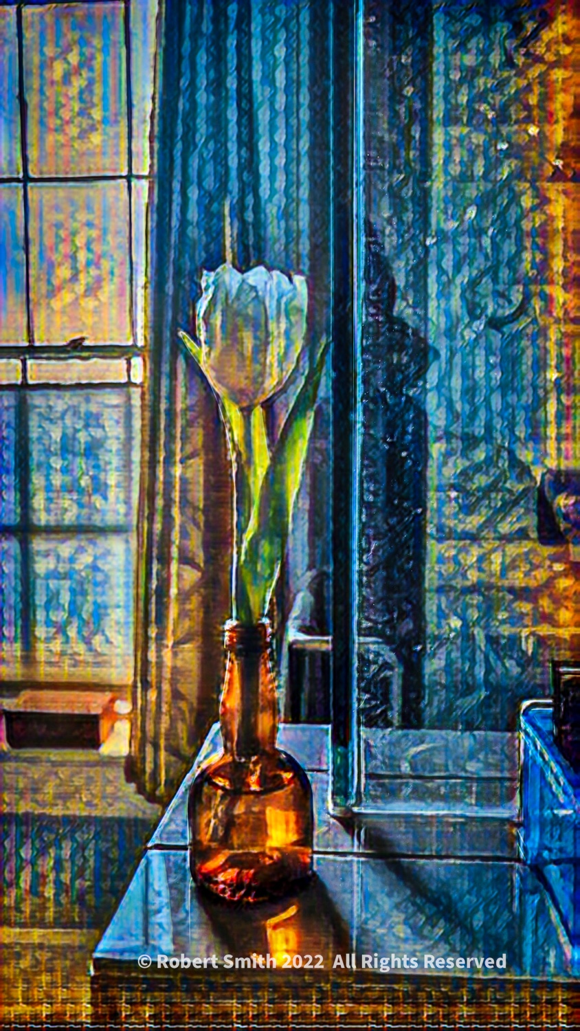 Tuesday Tulip: Flower in the Bathroom