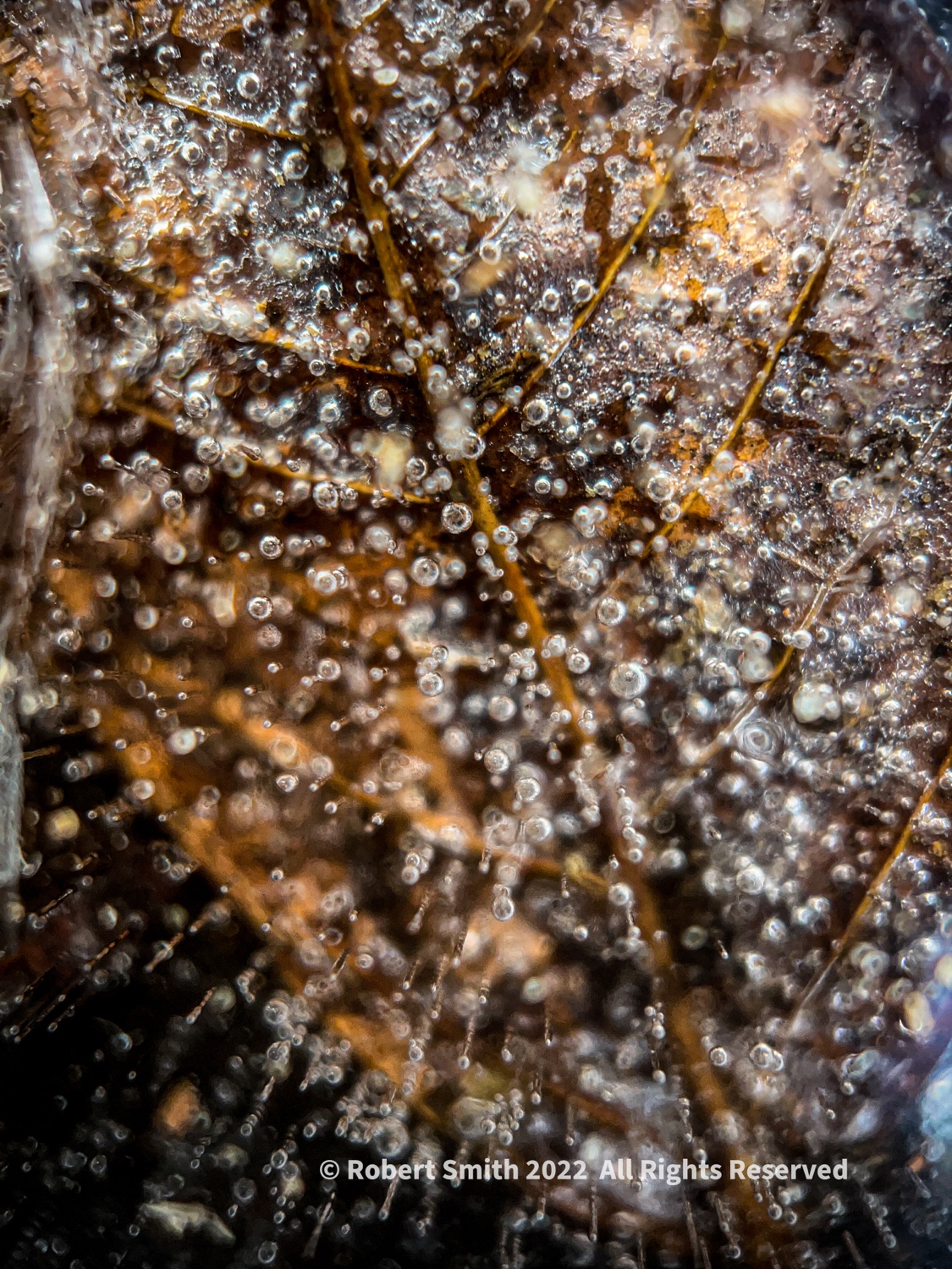 The Moment Macro: A Macro Ice Age