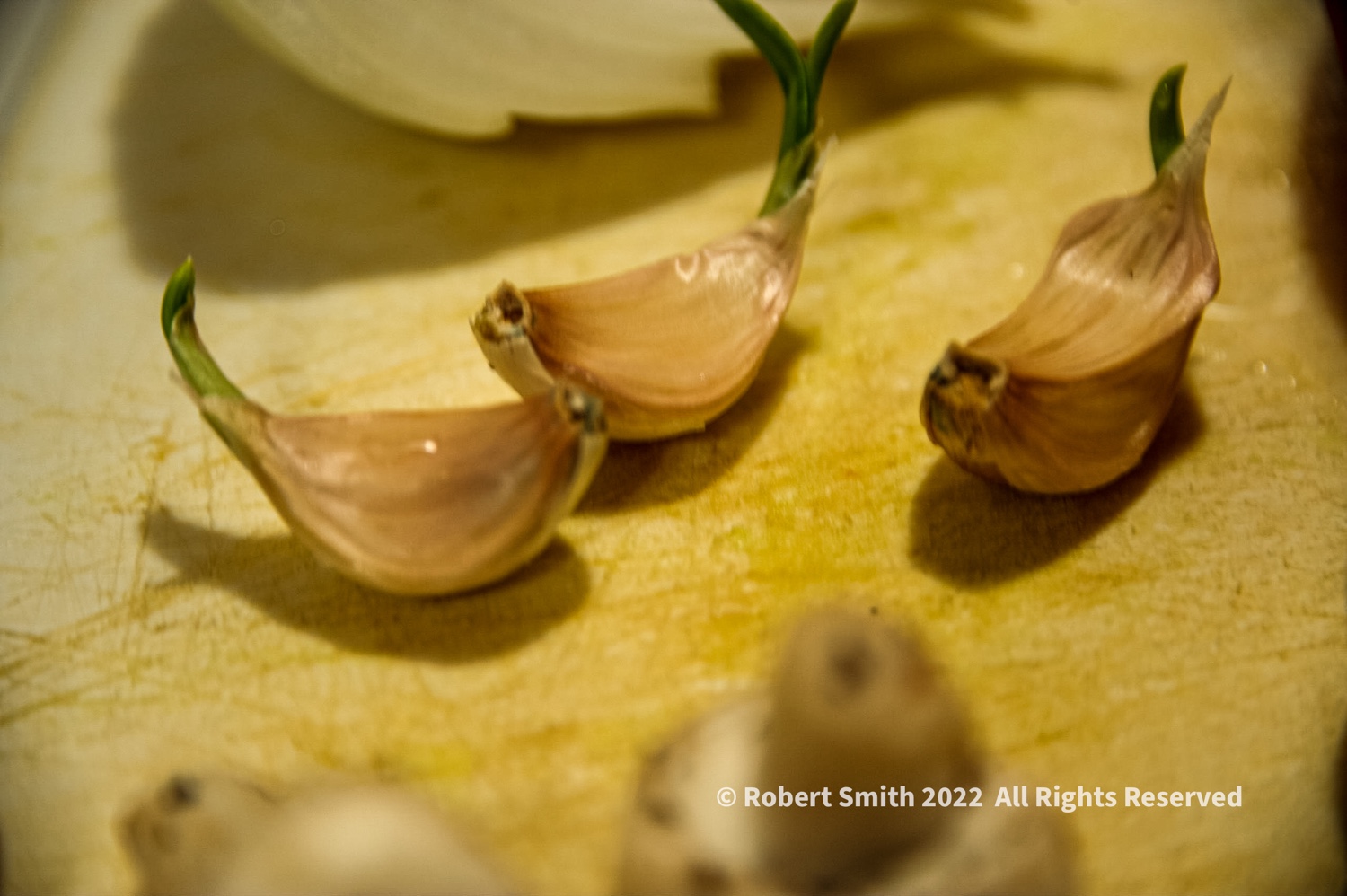 Cooking with Garlic