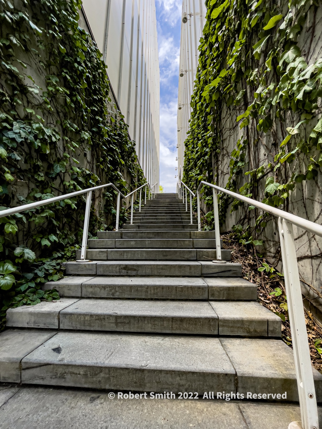 Silent Sunday: The Ascension, Stairway to Heaven