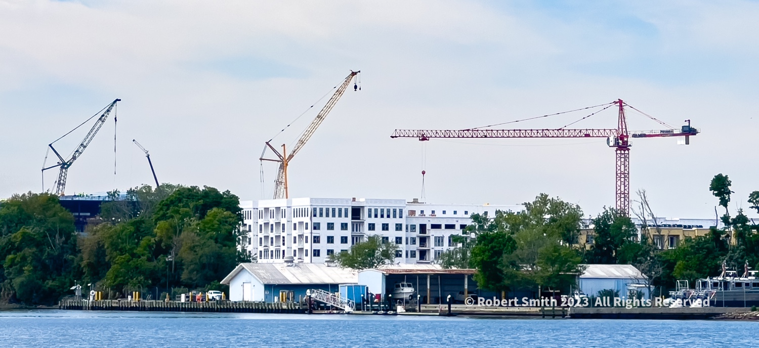 Cranes on the Savannah River