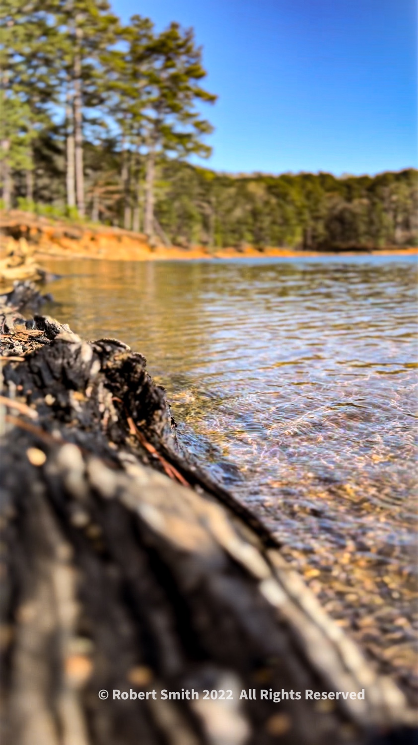 On The Shores Of Lake Allatoona