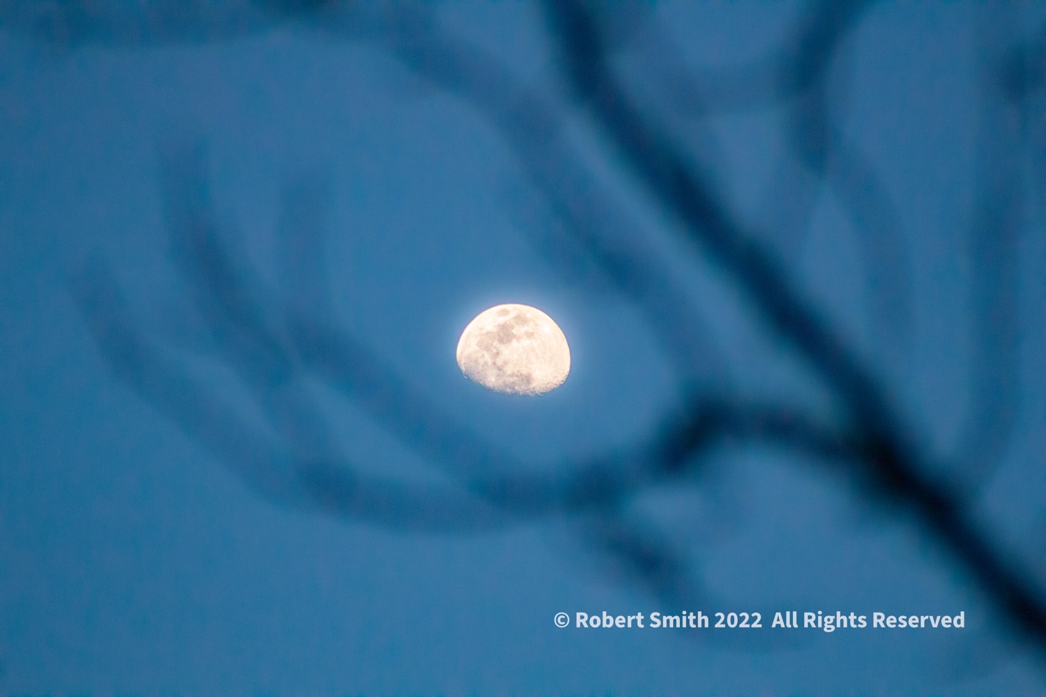 The Moon over Skidaway River