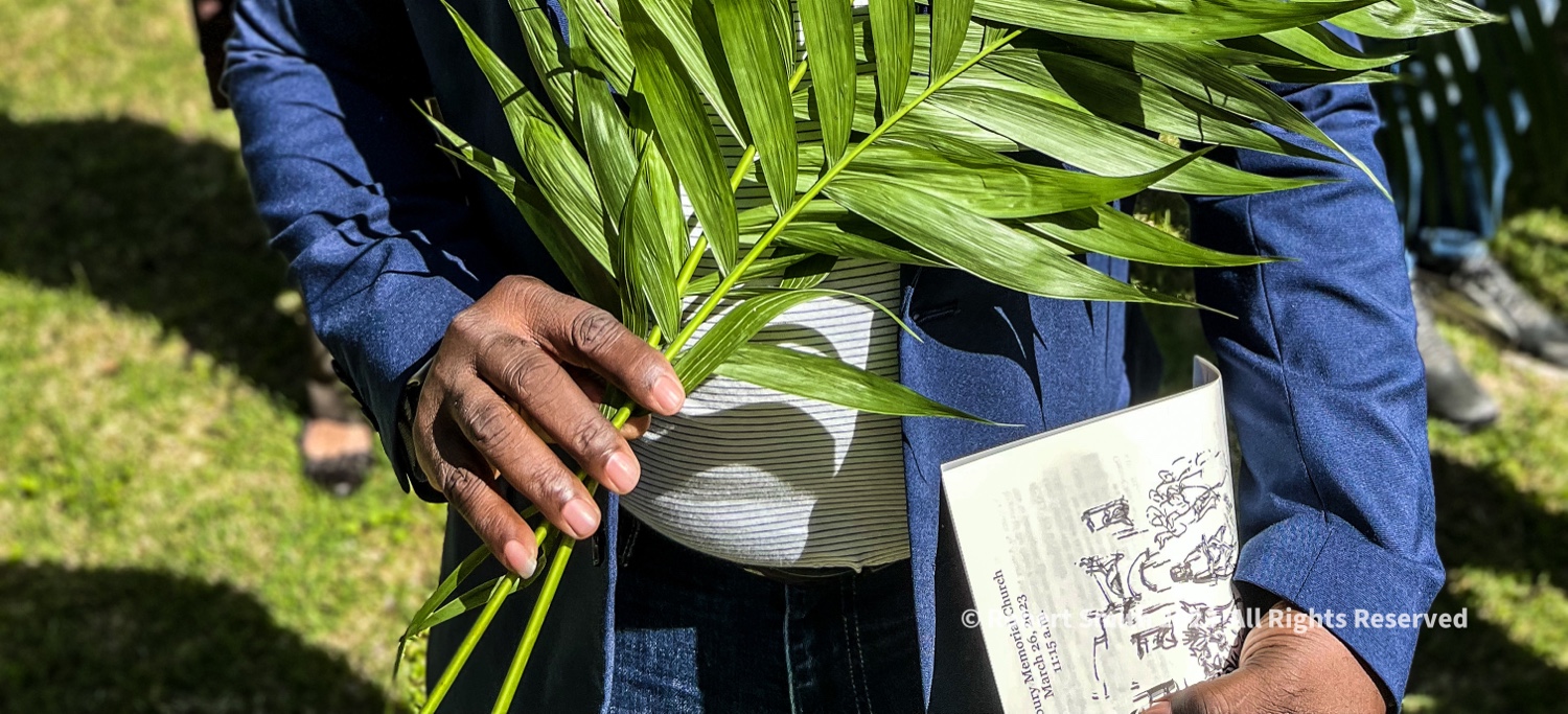 Portraits of Me – Palm in Hand