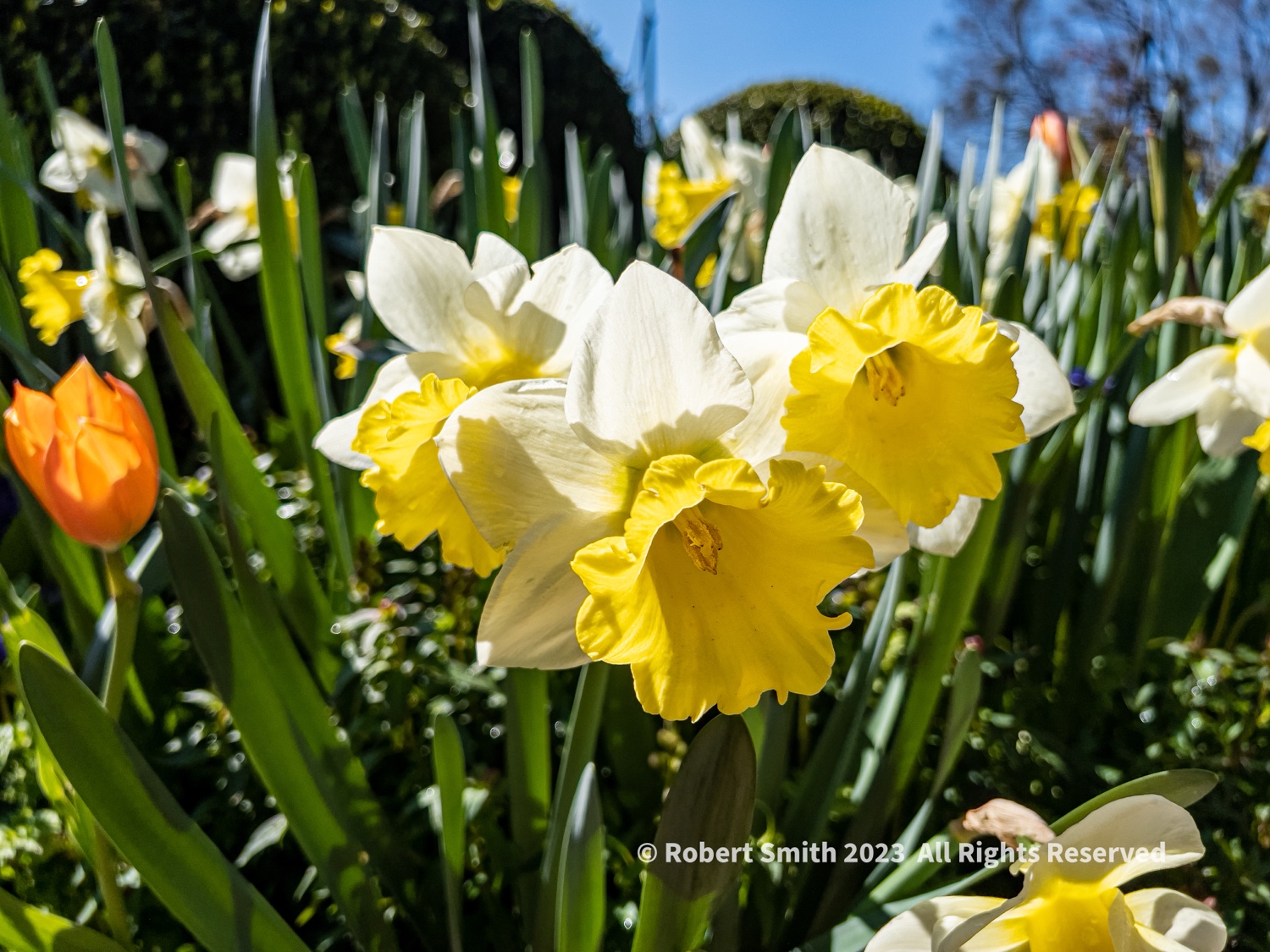 So you think you’re seeing yellow these days!