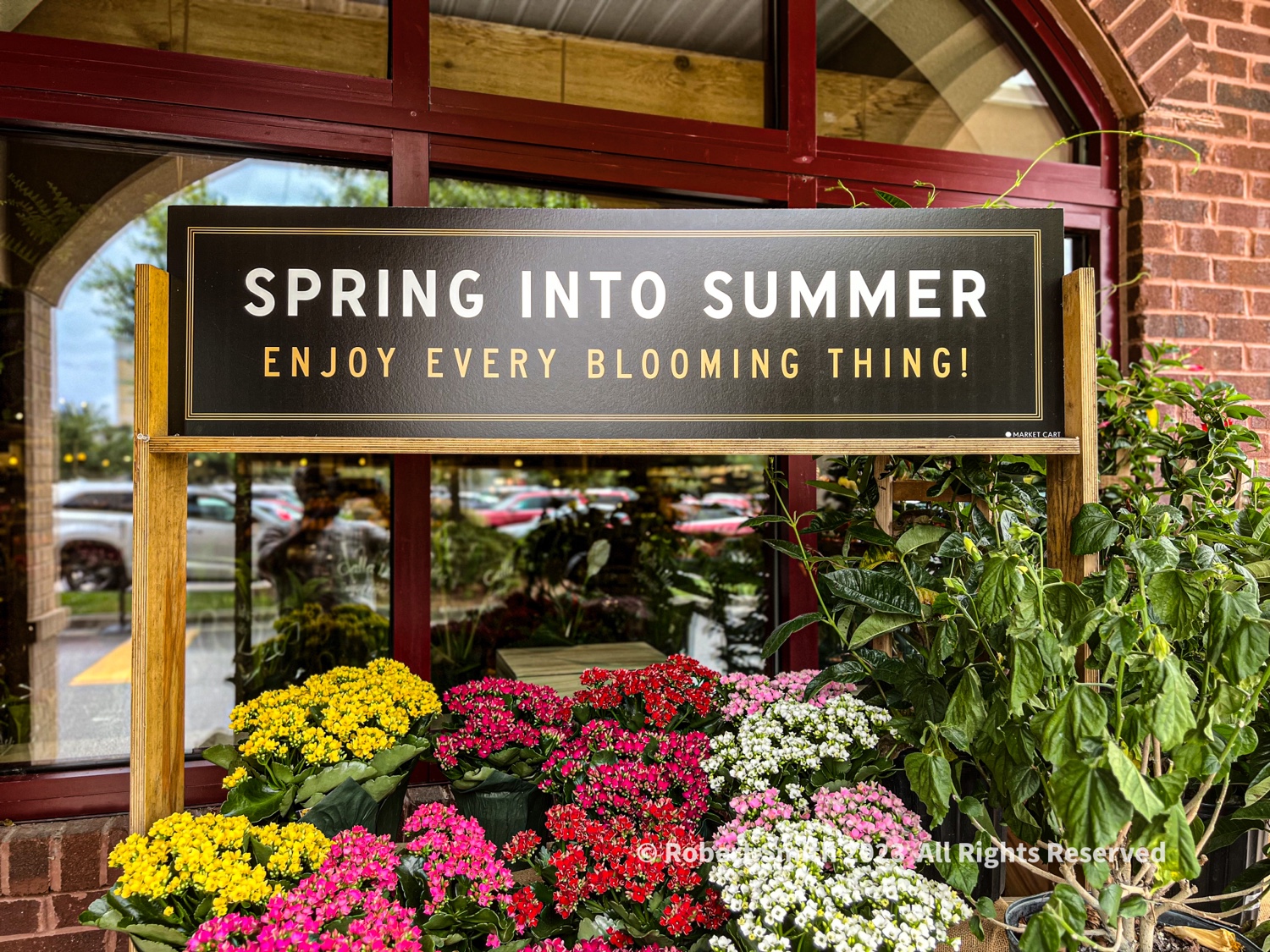 Wordless Wednesday: Spring into Summer, Enjoy every Blooming Thing