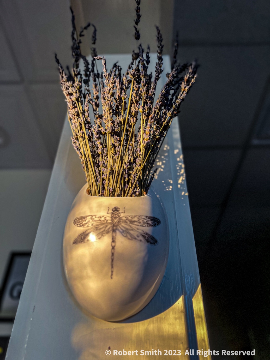 Silent Sunday: Dragonfly and Dried Lavender in Morning Light