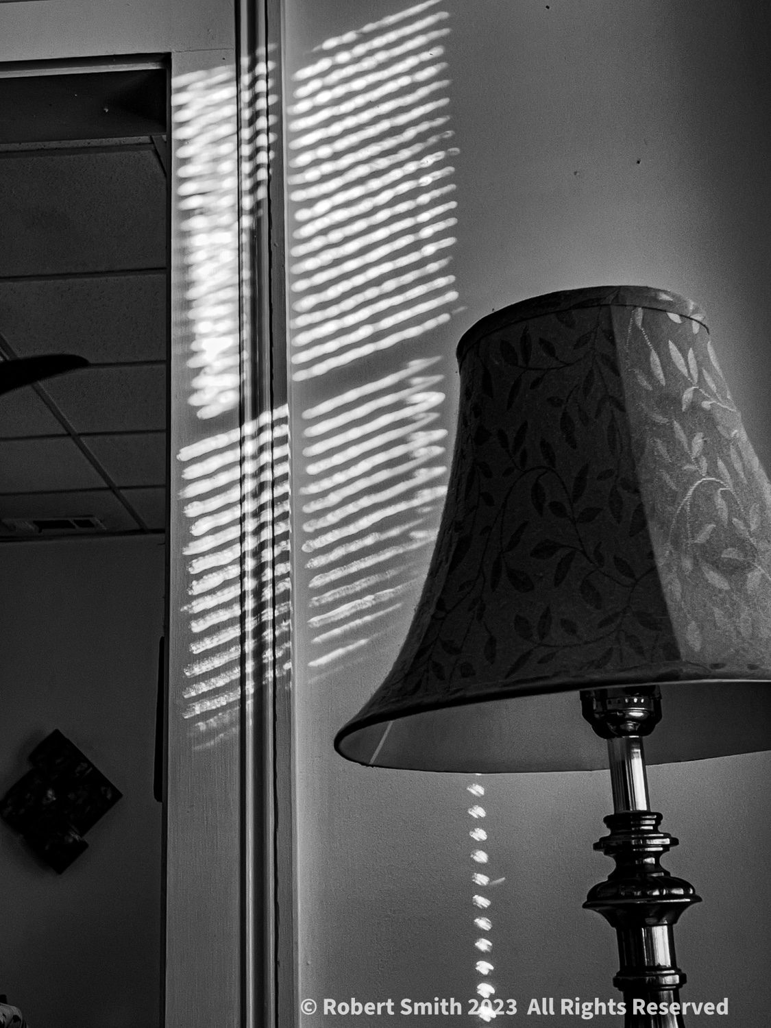 Morning in Monochrome