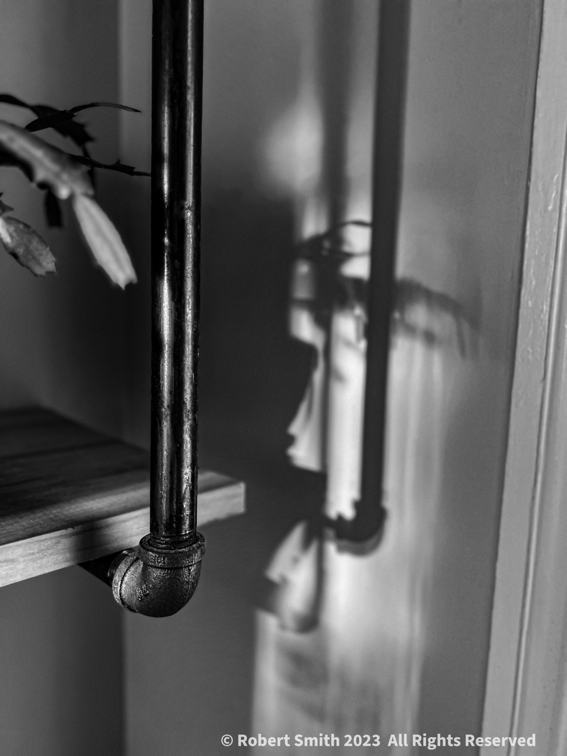 Bathroom in Monochrome: Christmas Cactus and Pipe Shelf