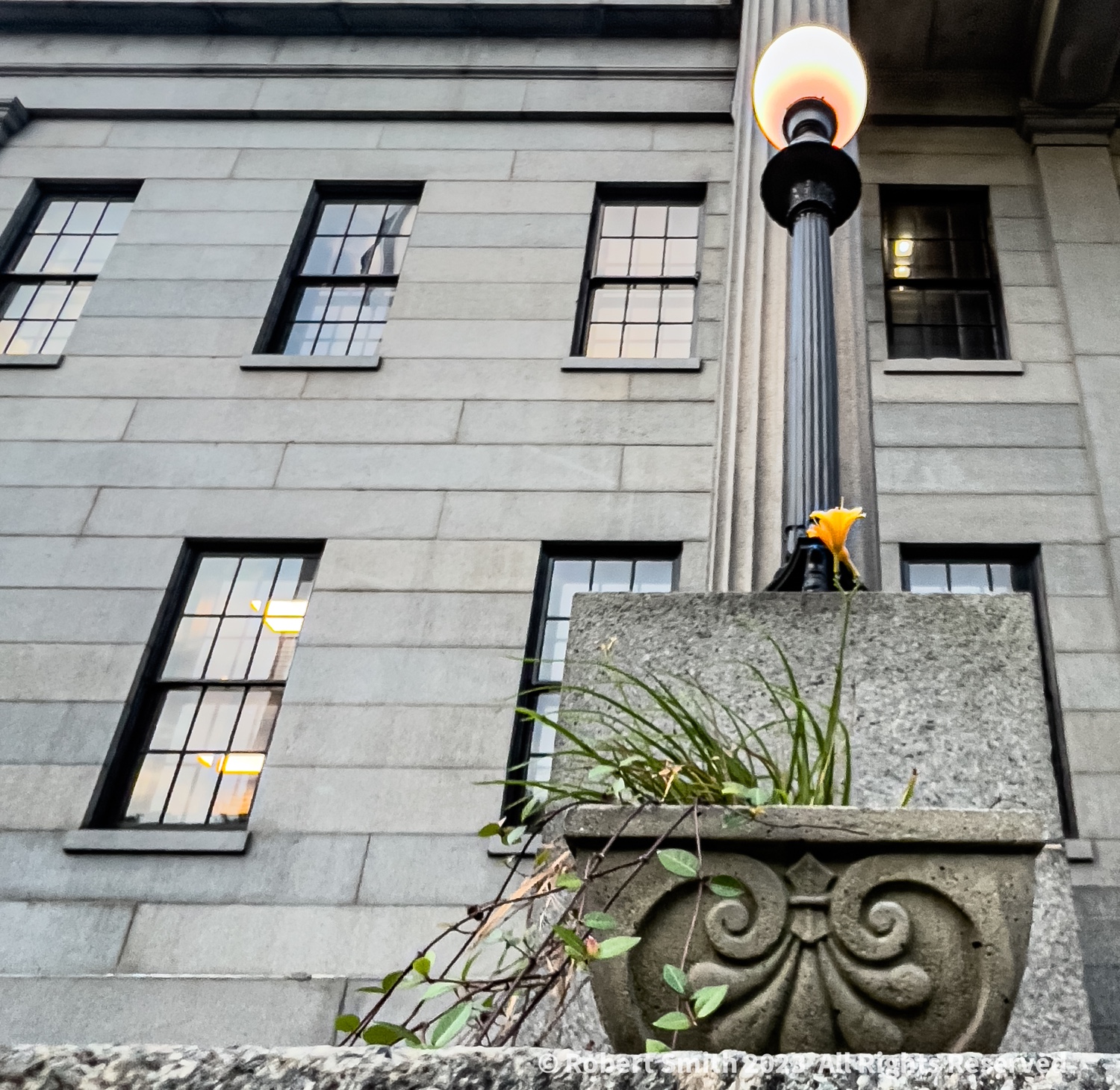US Customs House and Day Lillies