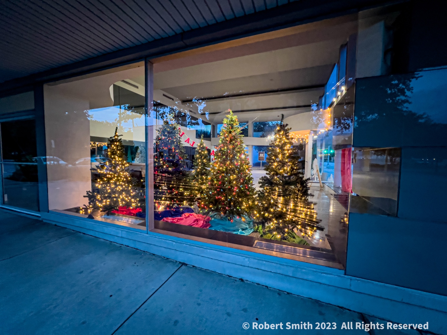 Looking back to Christmas in July