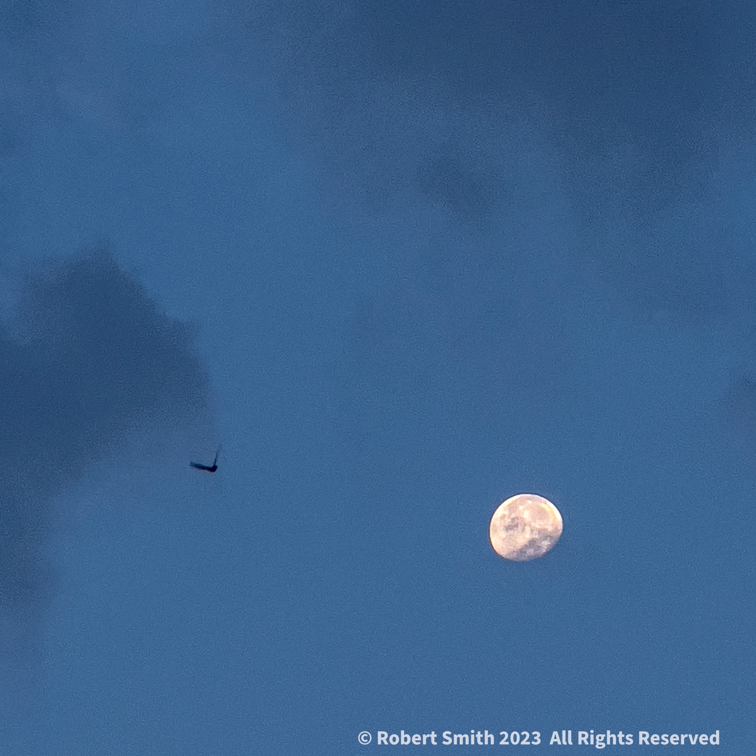 Morning Moon, Setting Moon