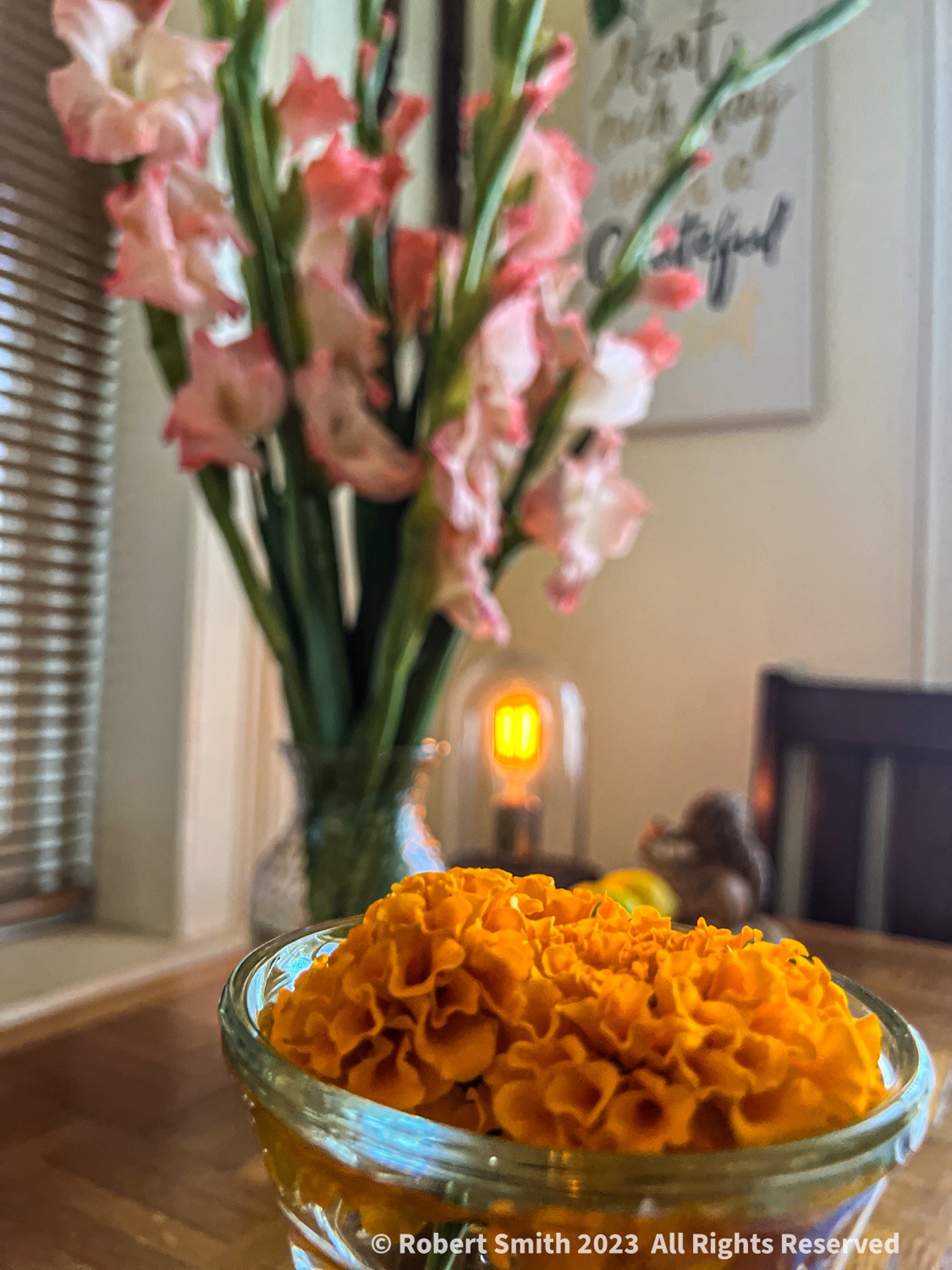 Sunday Flowers: Marigolds and Gladiolus Bloom