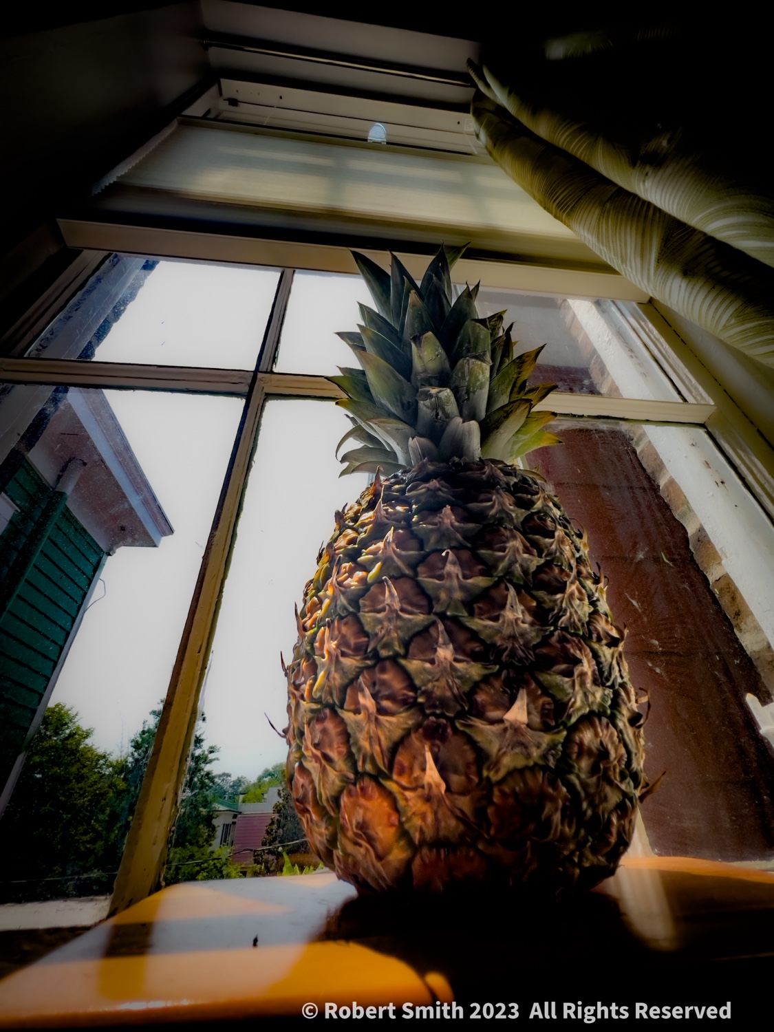Pineapples in the Bathroom