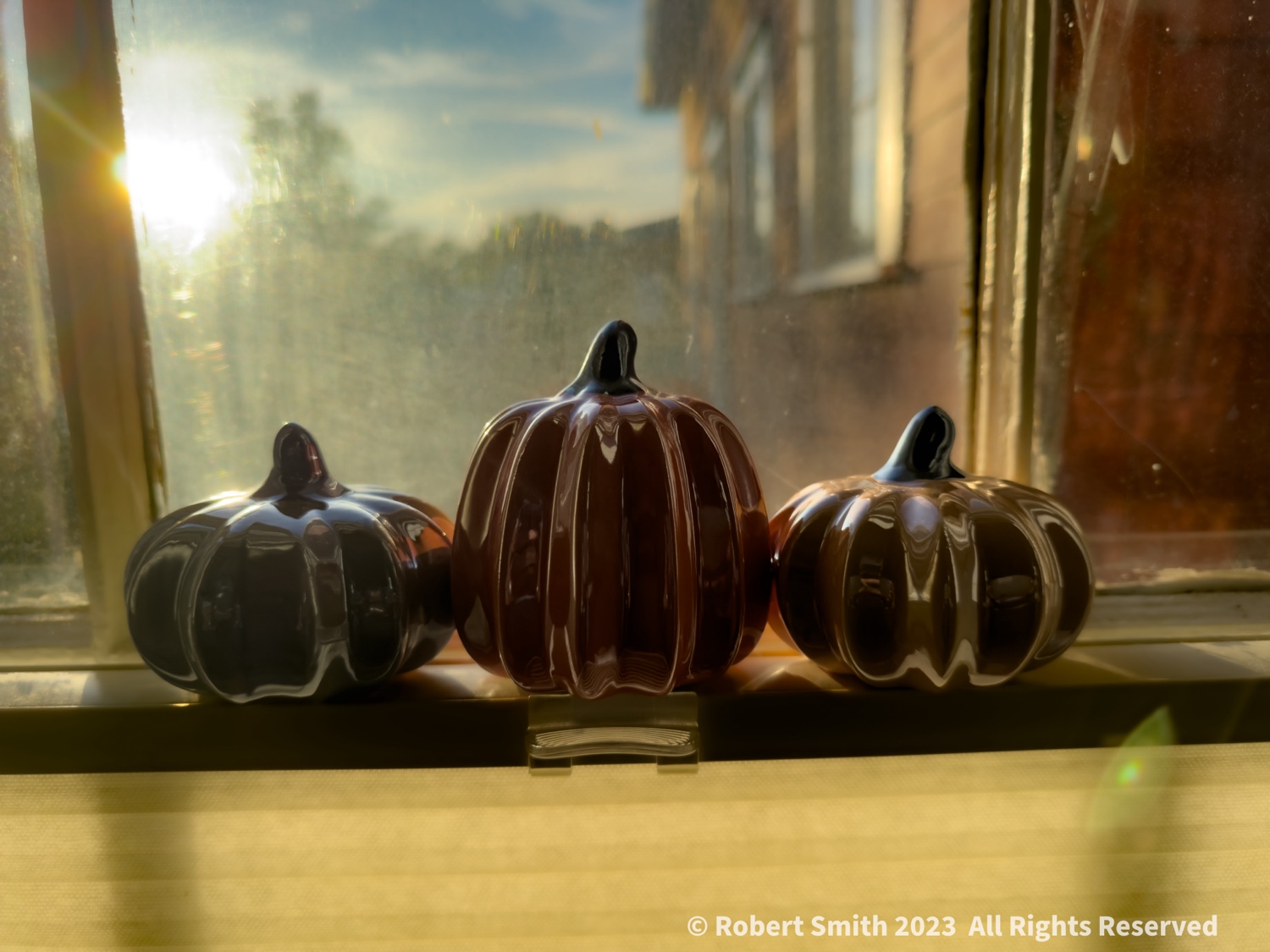 Pumpkins and a Window