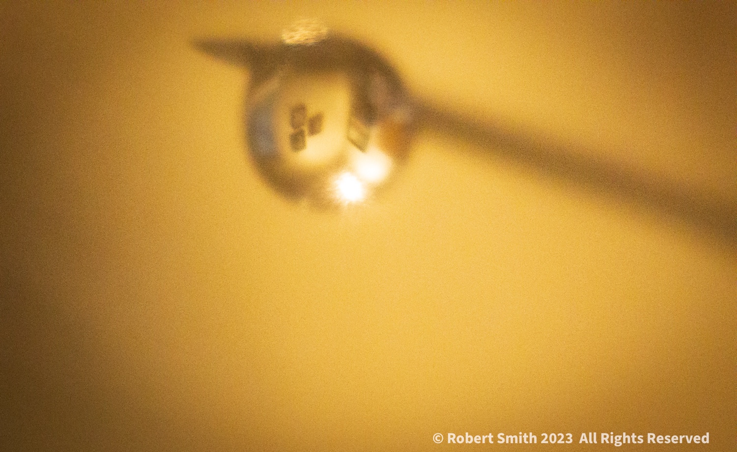 The Moment Macro: One Drop with Reflection