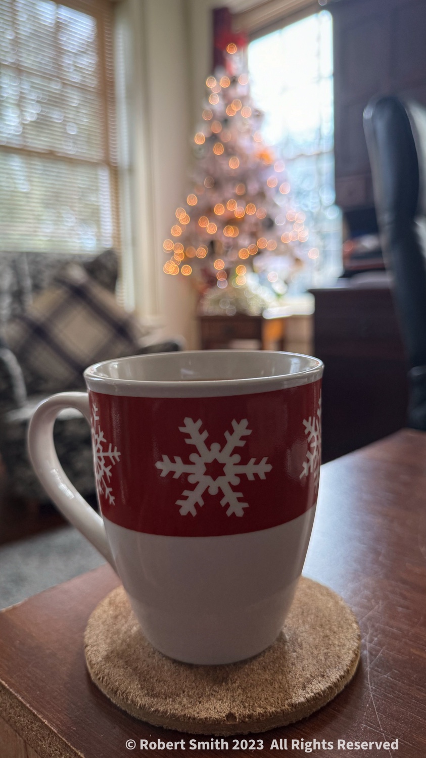 Egg Nog and Christmas Lights, Christmas Photo Challenge #8