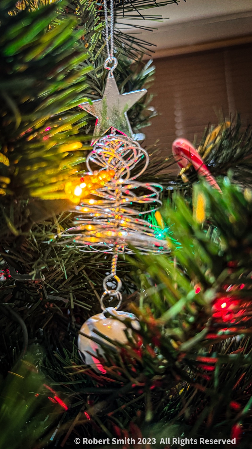 Shiny Tree, Christmas Photo Challenge #5