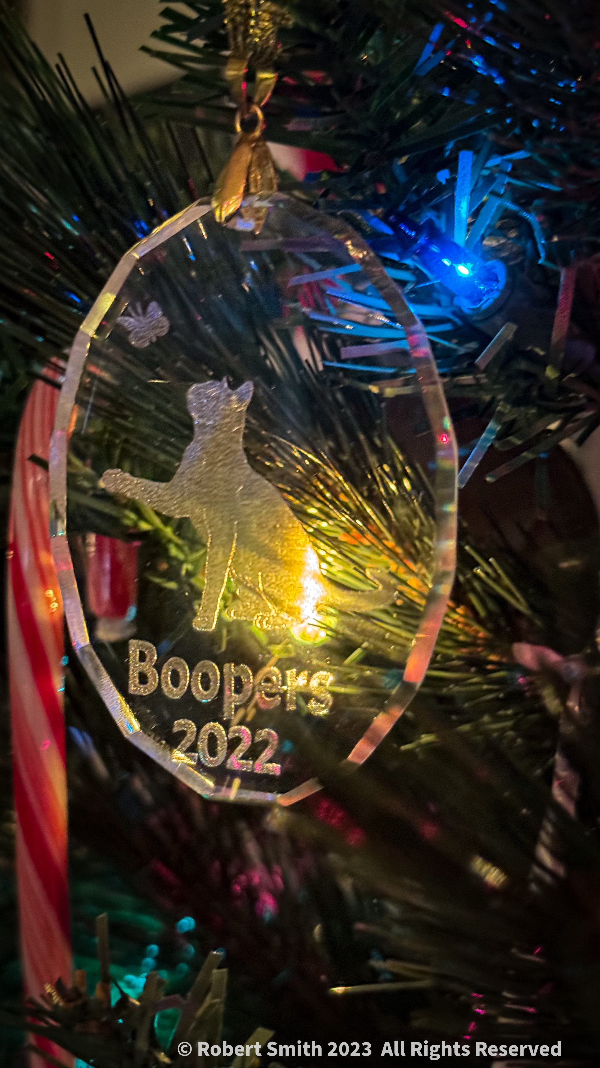 A Totally Ornamental Christmas #26