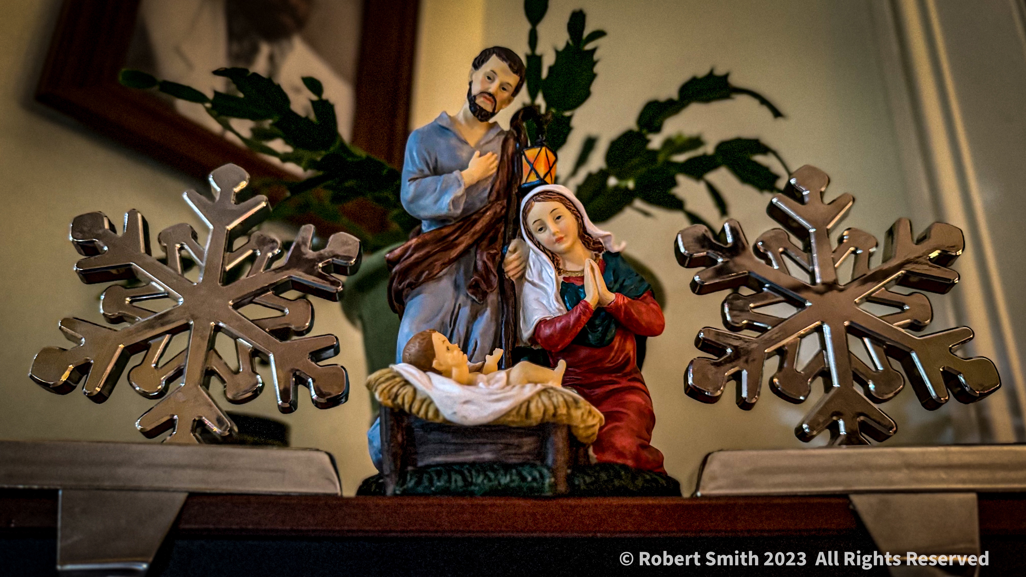 Waiting for Christmas – the Child, the Cactus, the Snow