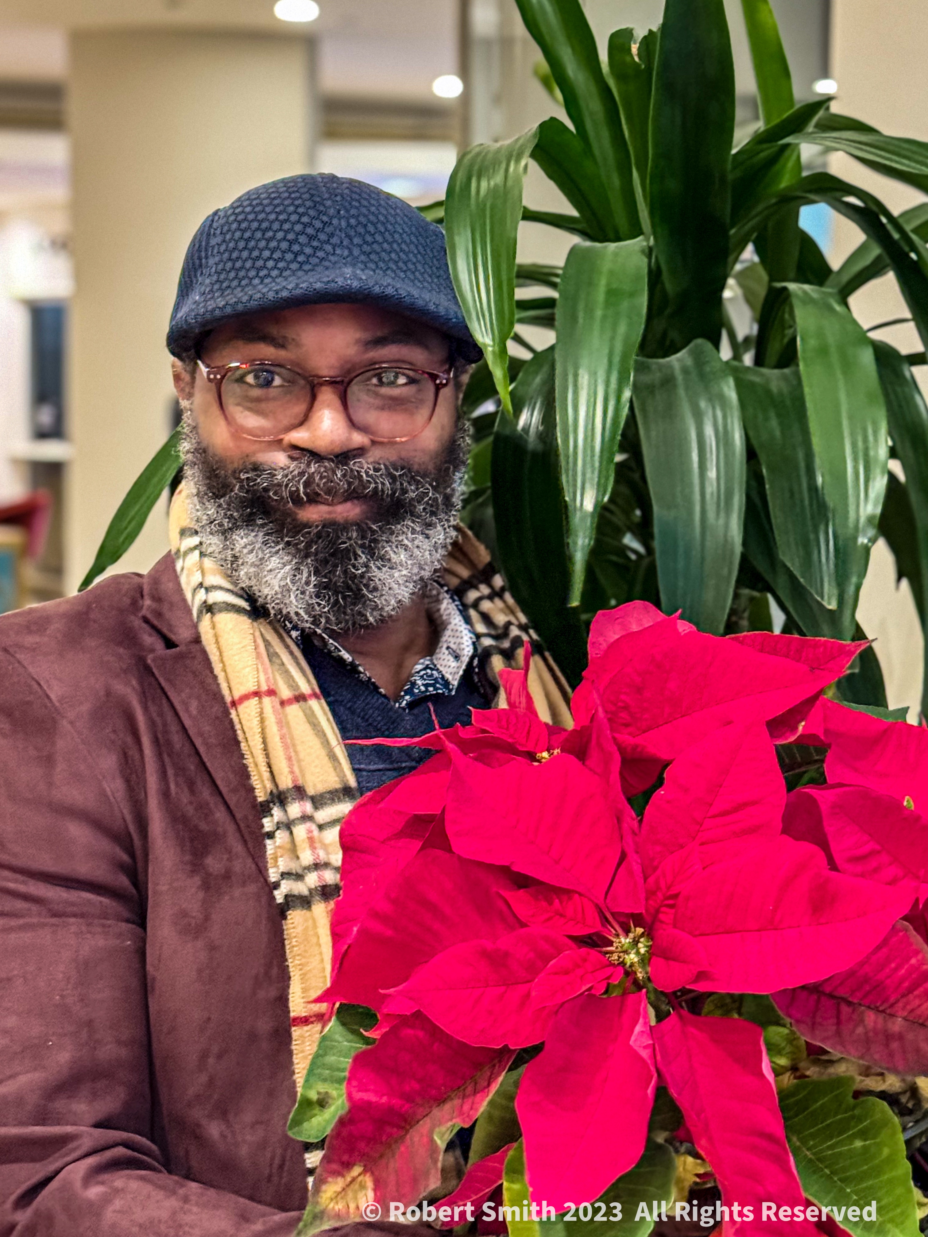 Christmas Poinsettias, Christmas Photo Challenge #13