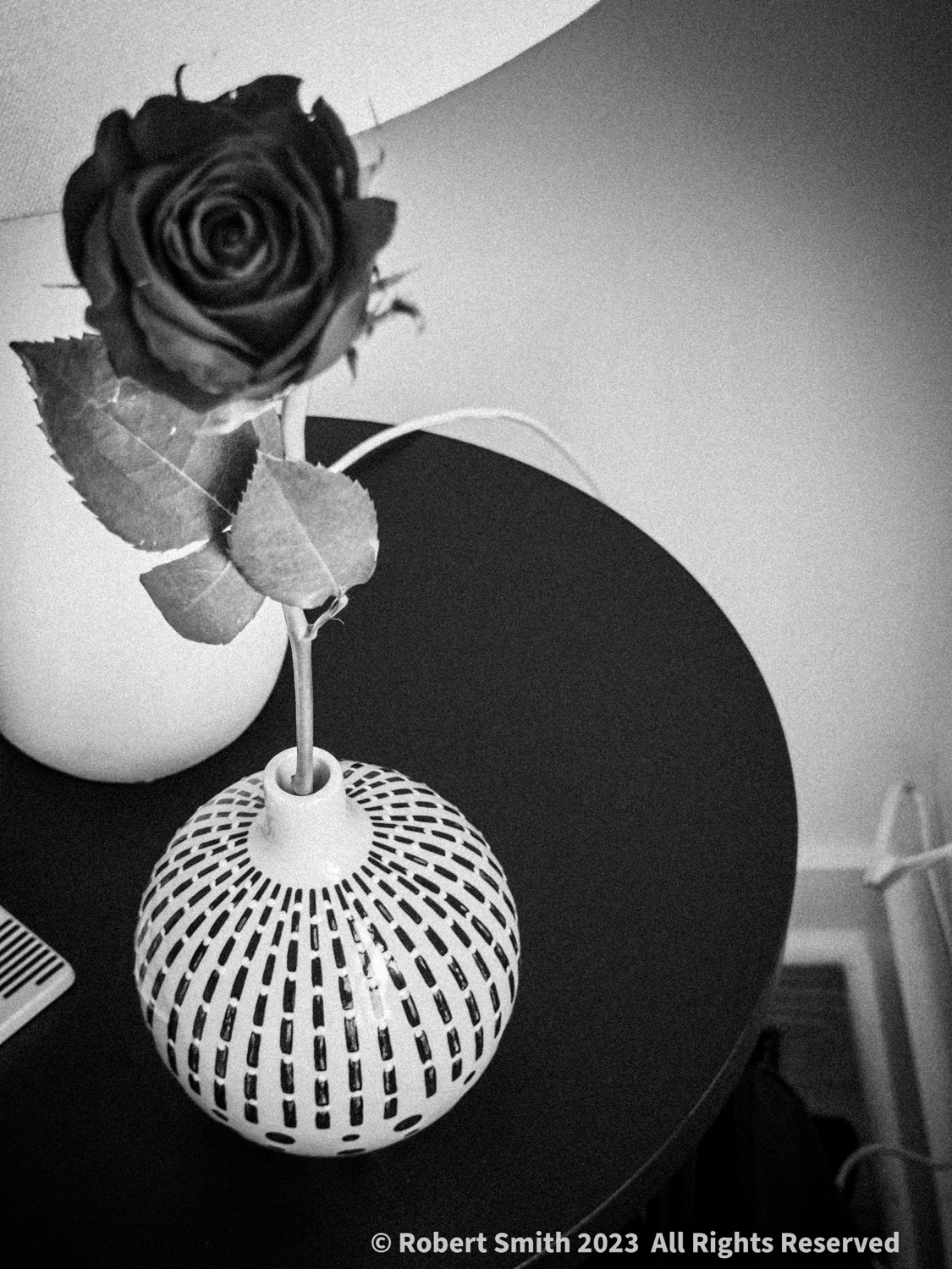 Rose and Vase in Monochrome