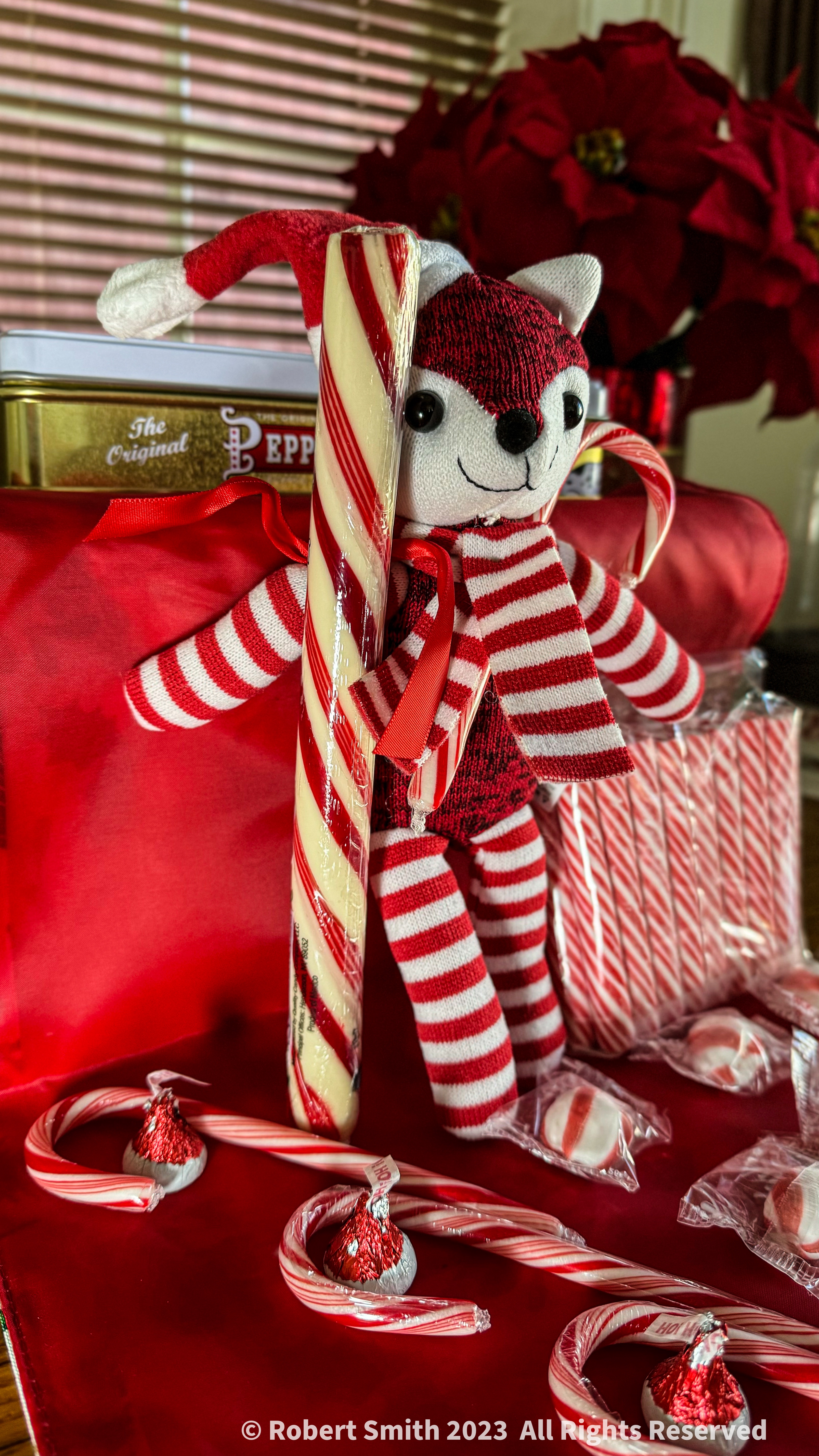 Candy Cane Lane, Christmas Photo Challenge #15